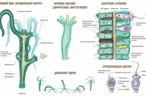 Кто такой мориарти даркнет мега